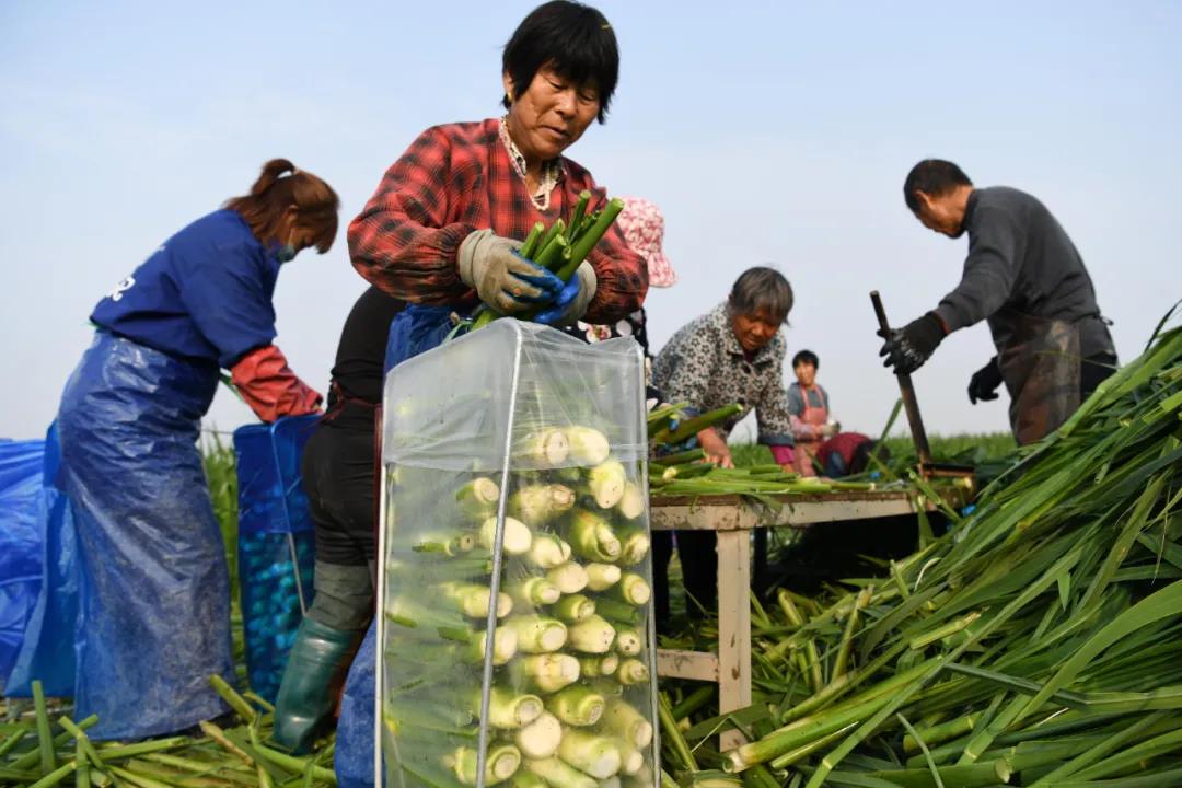 微信图片_20201225160832.jpg